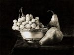 Filename=robinette_grapes_and_pears.jpg
Filesize=189KB
Dimensions=550x407
Date added=Nov 18, 2009 robinette_grapes_and_pears.jpg